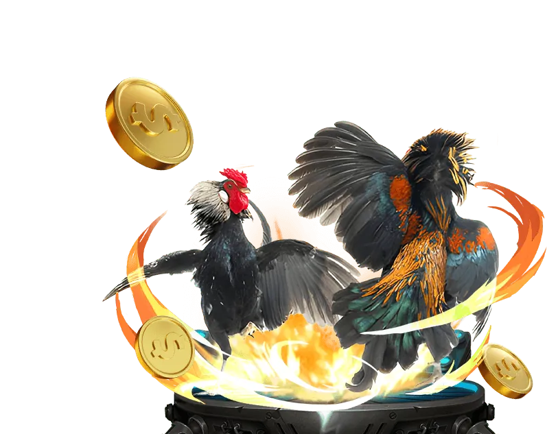 Trải nghiệm đá gà chân thực